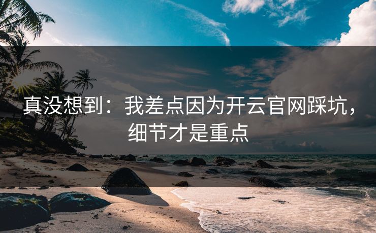 真没想到：我差点因为开云官网踩坑，细节才是重点