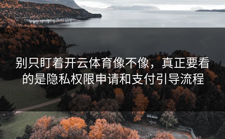 别只盯着开云体育像不像,真正要看的是隐私权限申请和支付引导流程 别只盯着开云体育像不像,真正要看的是隐私权限申请和支付引导流程